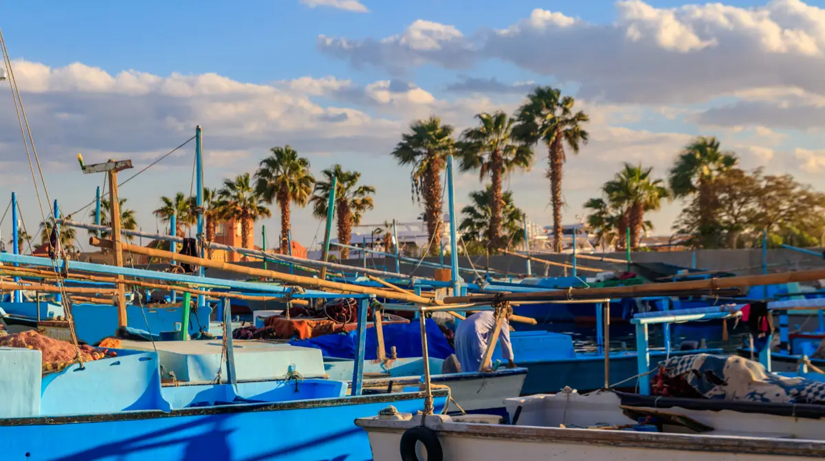 Old fishing boats in the harbour of Hurghada with palm trees behind, Egypt